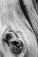 All that Remains 11